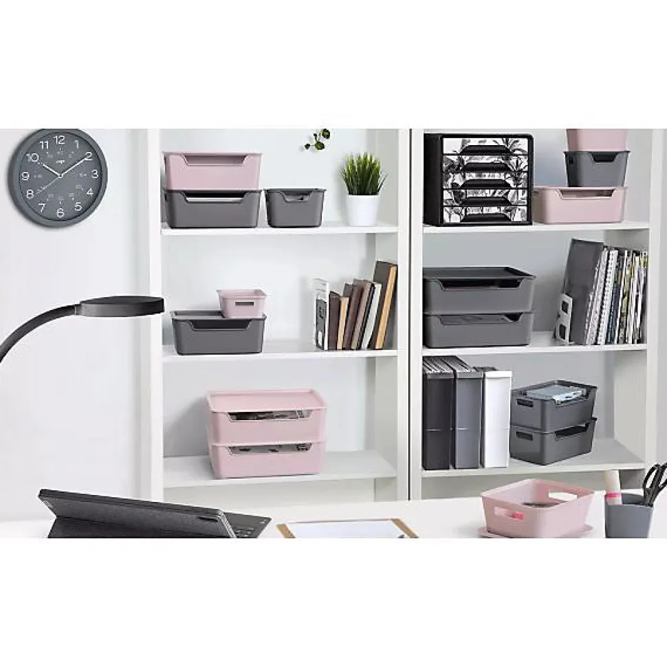 6 Bacs de rangement avec couvercle élégant 9 Litres - Gris