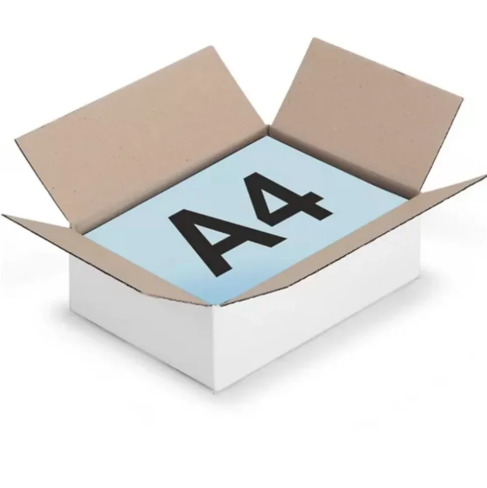 10 cartons d'emballage 31 x 21.5 x 5.5 cm - Simple cannelure