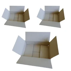 3 cartons d'emballage 31 x 21 x 7,5 cm