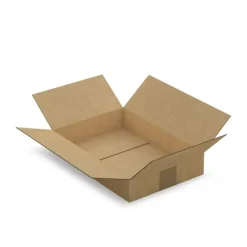 5 cartons d'emballage 31 x 21.5 x 5.5 cm - Simple cannelure