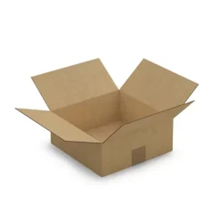 5 cartons d'emballage 25 x 25 x 10 cm - Simple cannelure