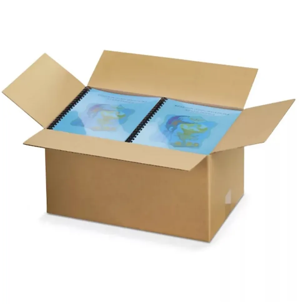 20 cartons d'emballage 23 x 19 x 12 cm - Simple cannelure
