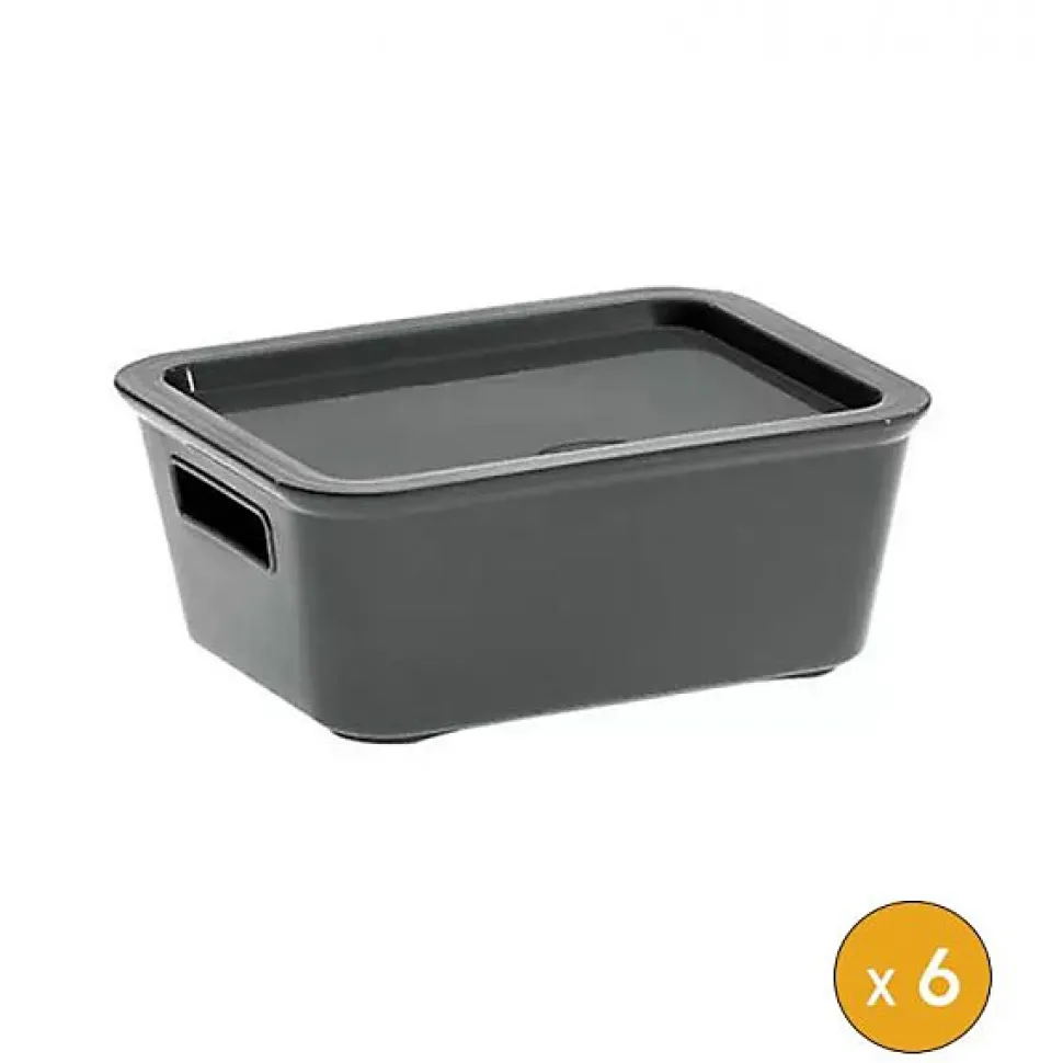 6 Petits bacs de rangement avec couvercle 1 Litre - Gris