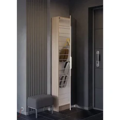 Armoire à Chaussures 1 Porte Miroir L50 cm - Zapatero