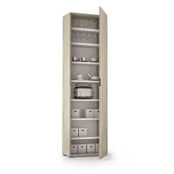 Armoire Colonne Multifonctionnelle Avec 1 Porte Effet Bois D'orme