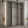 Armoire Dakota 5 a portes coulissantes 170/45/235,3 portes