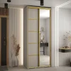 Armoire Dakota 5 a portes coulissantes 110/60/235,2 portes