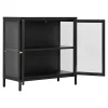 Armoire Dalby en Acier Noir avec 2 Portes Vitrées - Dimensions 80x35x80 cm