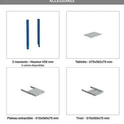 Armoire informatique mobile - Bleu RAL5015 - Ecran inclinable - W040010028-GCBI
