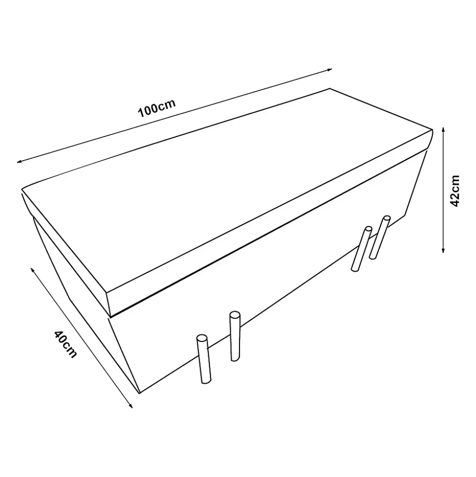 Banc de rangement Dals 100 x 40 x 42 cm gris en.casa
