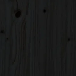 Bibliothèque en bois massif noir 60x35x160 cm - VidaXL