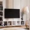 Bibliothèque modulaire MODUS blanc 2x1