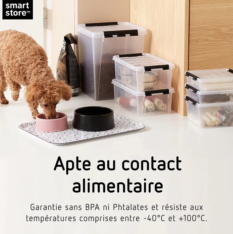 Boîte de rangement SmartStore Classic Orthex transparent 14 L