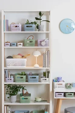 Boîte de rangement Smartstore Slim Orthex vert