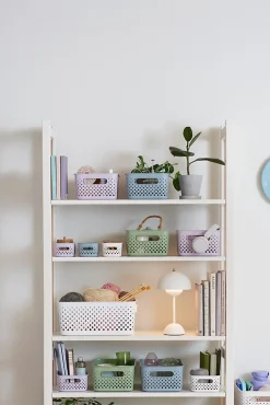 Boîte de rangement Smartstore M Orthex bleu