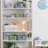 Boîte de rangement Smartstore M Orthex vert