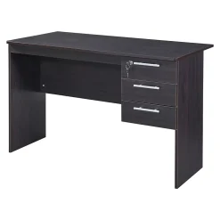 Bureau Ragunda 120 x 59 x 75 cm effet bois foncé en.casa
