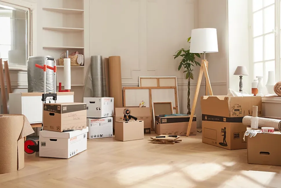 Carton de déménagement vendu par 10 sans adhésif avec poignées H. 40 x L. 60 x l. 50 cm, capacité 120 L Pack and Move