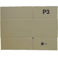 Carton d'emballage 20 x 15 x 11 cm
