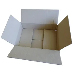 Carton d'emballage 31 x 21 x 7,5 cm
