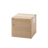 Carton d'expédition 6L L.18X l.18X H.18cm Mottez