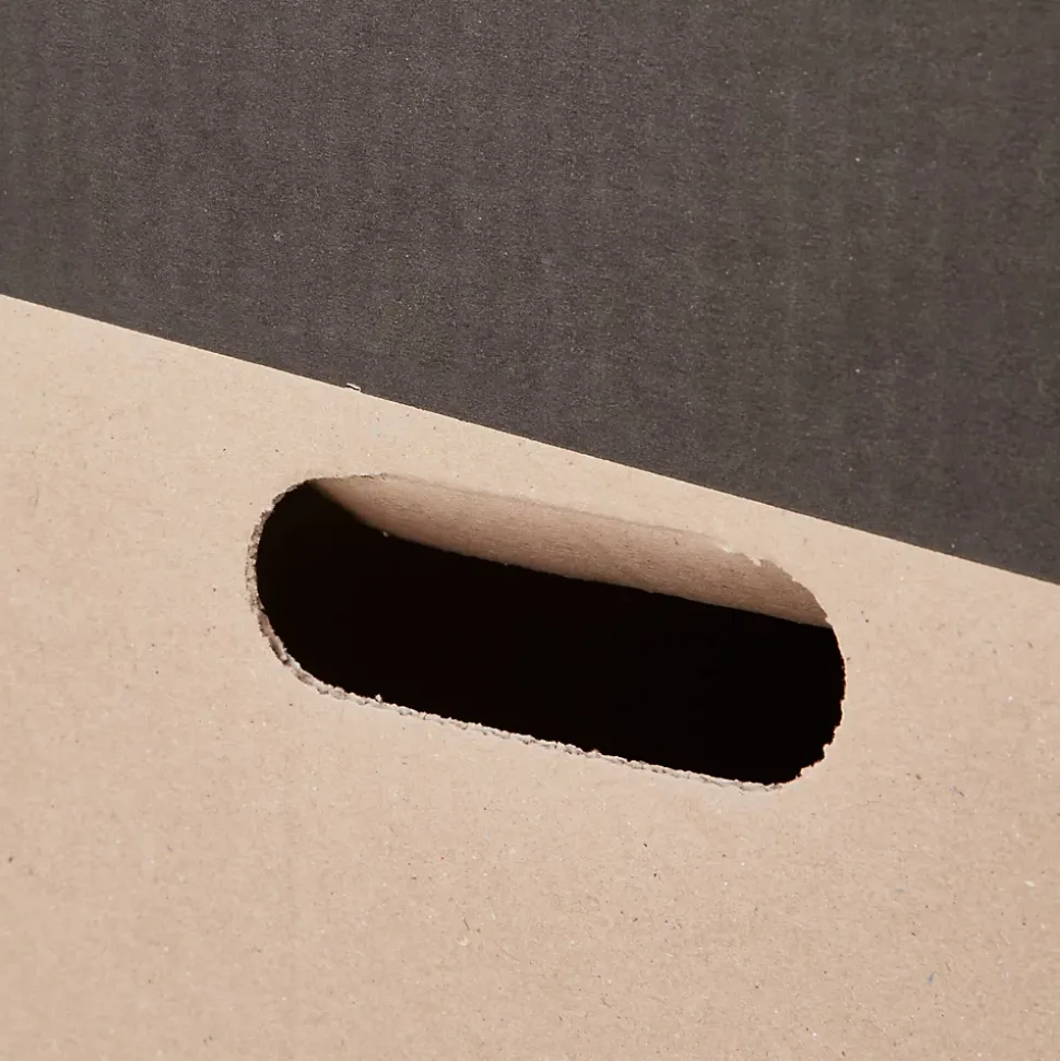 Carton déménagement livre avec poignées H. 30 x L. 60 x l. 30 cm, capacité 54 L Pack and Move vendu par 20 pièces