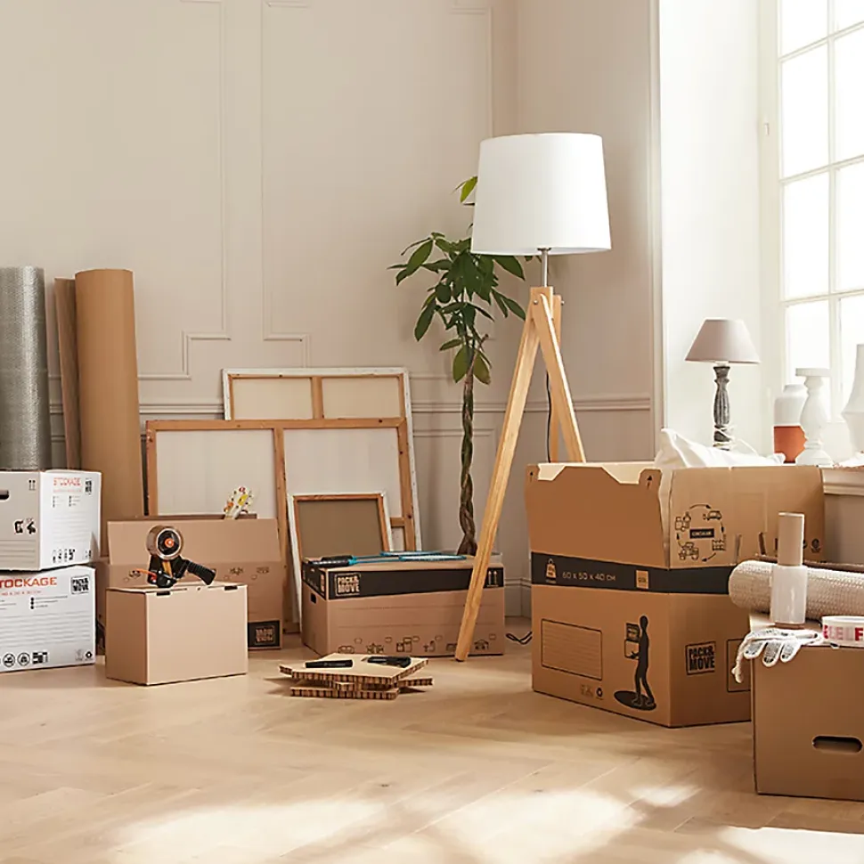 Carton déménagement livre avec poignées H. 30 x L. 60 x l. 30 cm, capacité 54 L Pack and Move vendu par 20 pièces