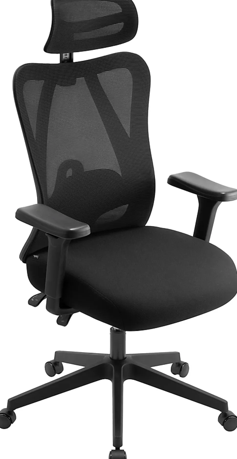 Chaise bureau Elisha, ergonomique avec soutien lombaire, ajustable en hauteur, pivotante, revêtement mesh respirant Noir