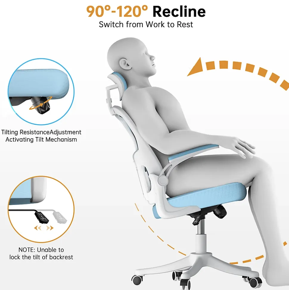 Chaise de Bureau Ergonomique avec Support Lombaire, Accoudoirs et Appuie-tête Réglables