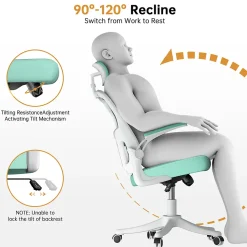 Chaise de Bureau Ergonomique avec Support Lombaire, Accoudoirs et Appuie-tête Réglables