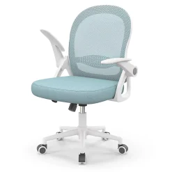 Chaise De Bureau Ergonomique En Maille, Accoudoirs Relevables, Support Lombaire