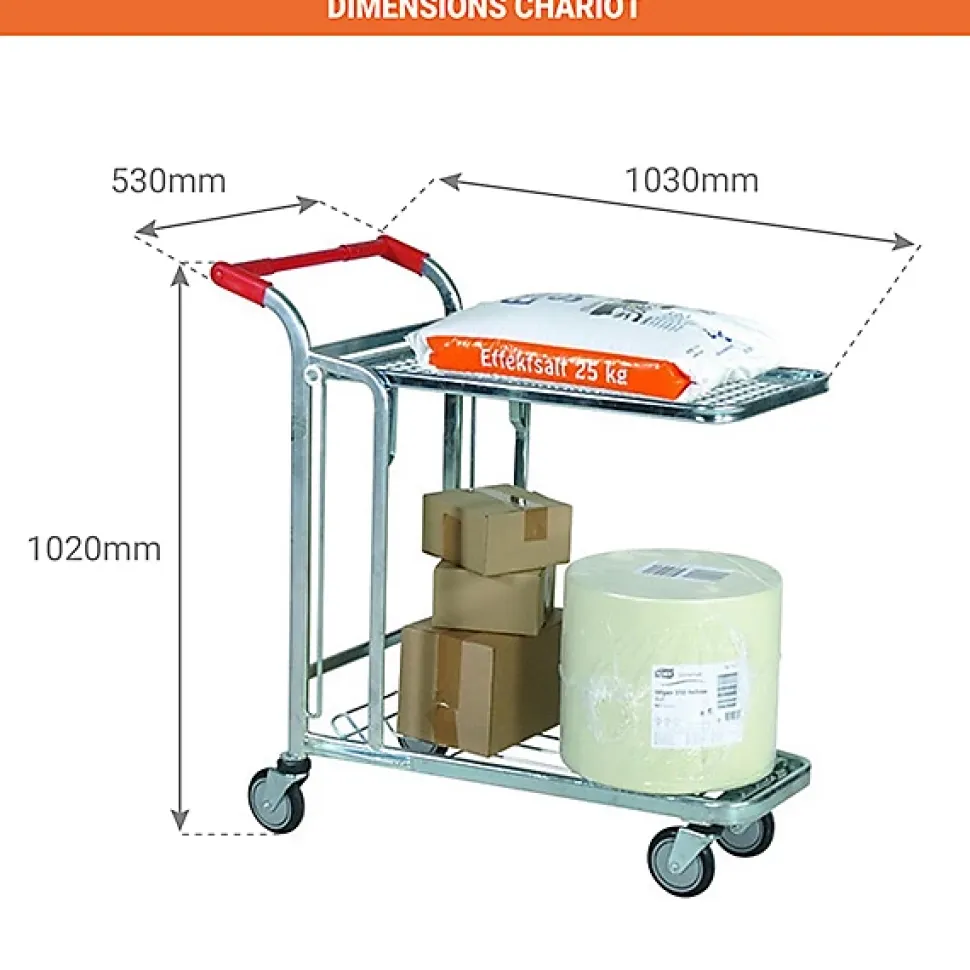 Chariot de magasin et d'entrepôt - Charge max 300kg - 1920057250