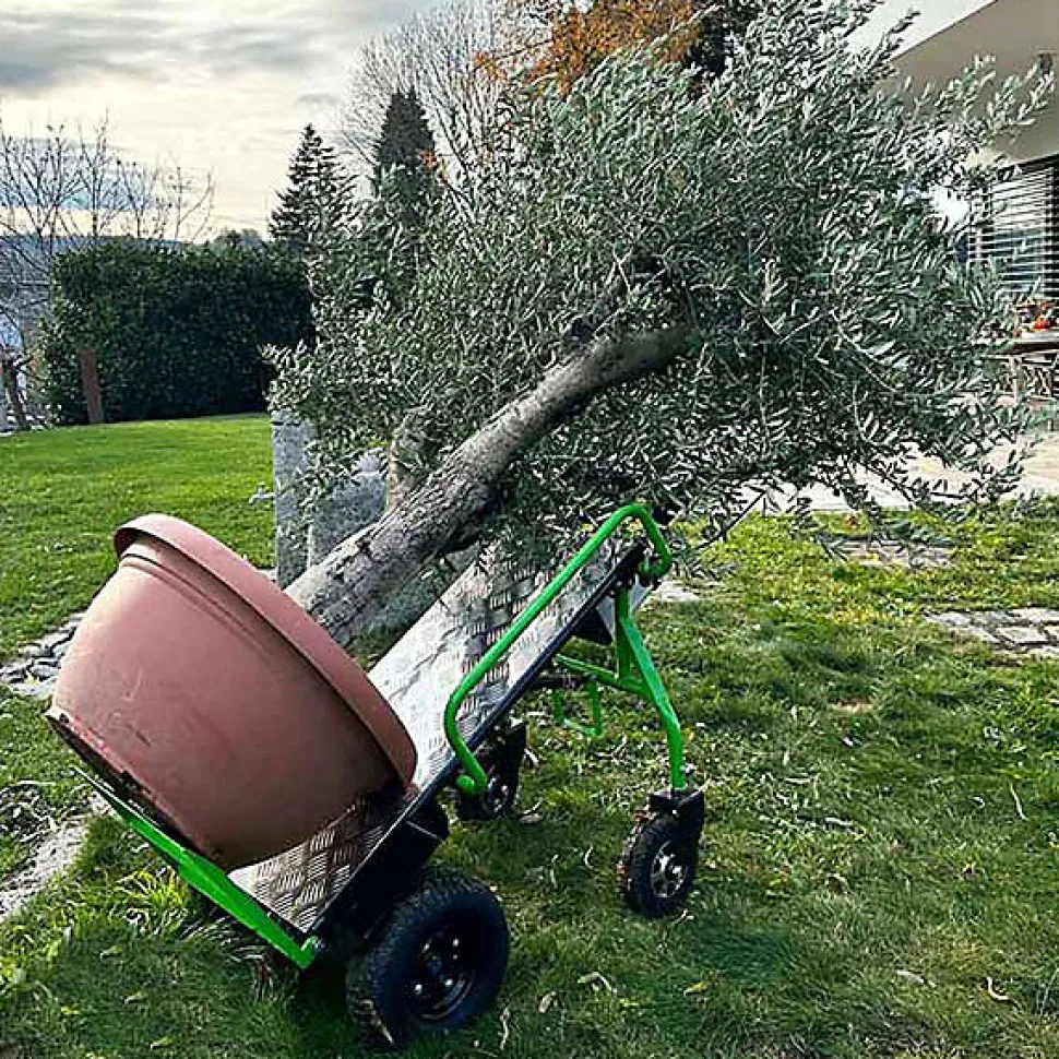 Chariot diable électrique avec grand plateau - Charge 260kg - ZI-ET260