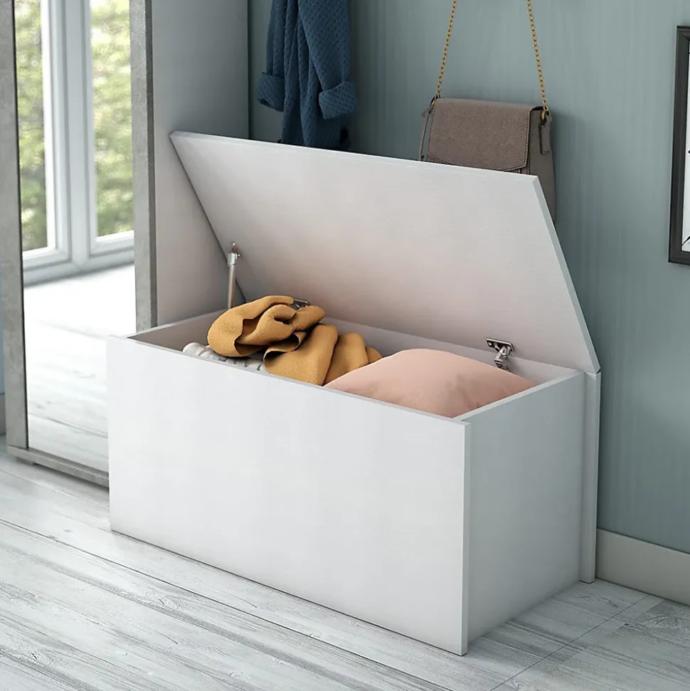 Coffre De Rangement En Bois Blanc