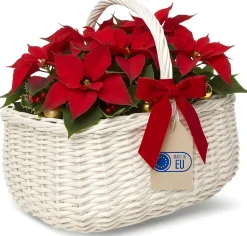 Creative Home Panier en Osier Blanc 36 x 27 x 32 cm - Panier de Rangement & Panier Pique-Nique - Grand Panier de Pâques