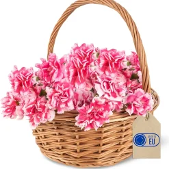 Creative Home Petit Panier de Pâques en Osier 22 x 22 x 26 cm - Tissé à la Main, Panier avec Anse, Cadeau, Fruits, Marron Naturel