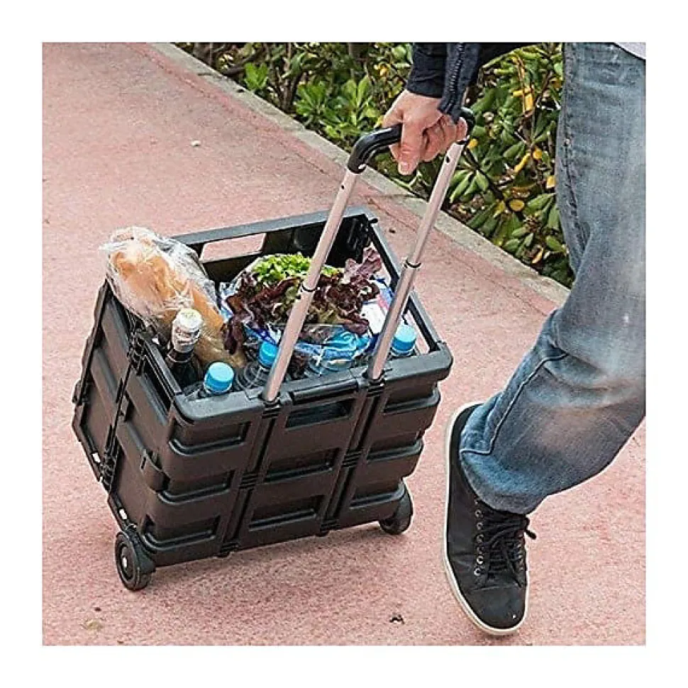Diable avec Caisse de transport Pliable charge 35 kg