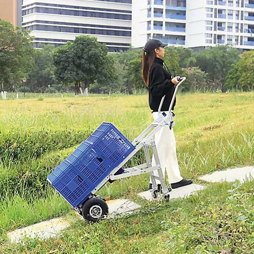 Diable chariot motorisé - Ultra compact - Charge 170kg - LFG170