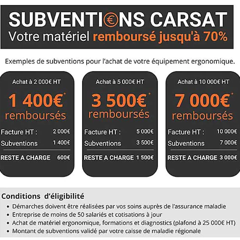 Diable électrique pour escaliers - Stabilisation intégrée - Charge 300kg - DOMSTAB300