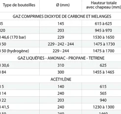Diable porte bouteille pur atelier - 1 bouteille - Roues caoutchouc - 810000148
