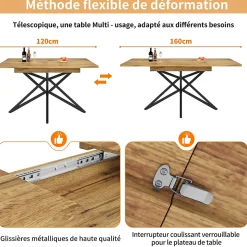Ensemble Table à Manger Extensible - Table avec Rallonge et 4 Chaises Velours - Moderne 120/160x80x66,1 cm - Gris+Naturel