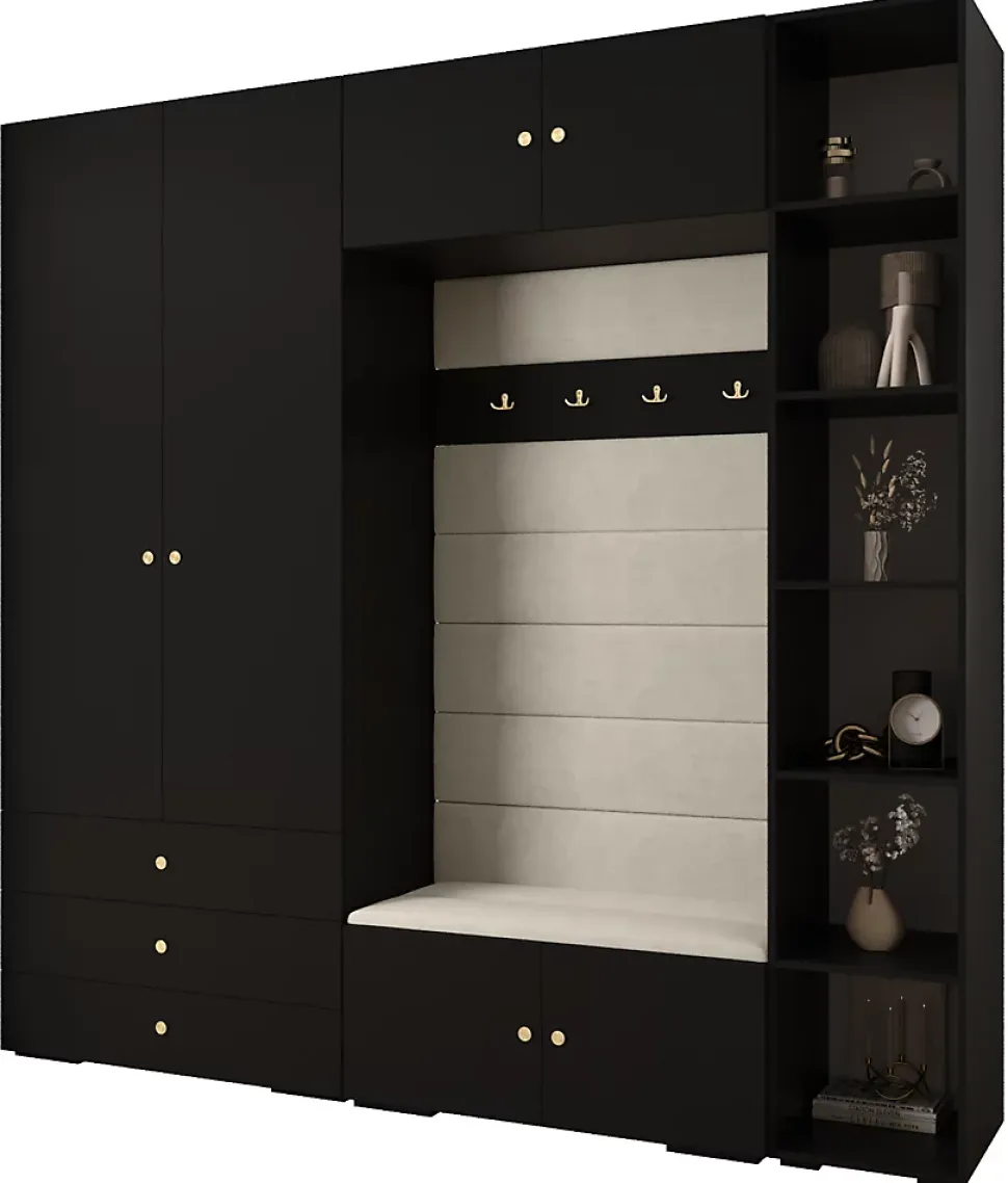 Garde-robe Inova 2 porte battante 236,7/240/47 2 Portes (noir)
