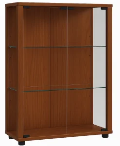 Glas Stand Vitrine Sammelvitrine Sintalo