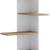 Holz Wandregal Eckregal Regal Balos