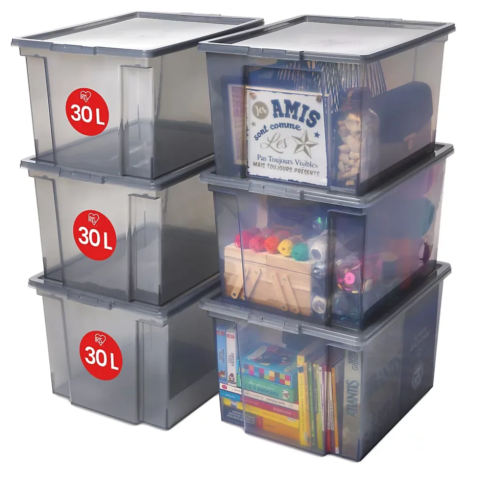 Iris Ohyama, Boites de Rangement Polyvalente, 30L, Lot de 6, Gris, USB-M
