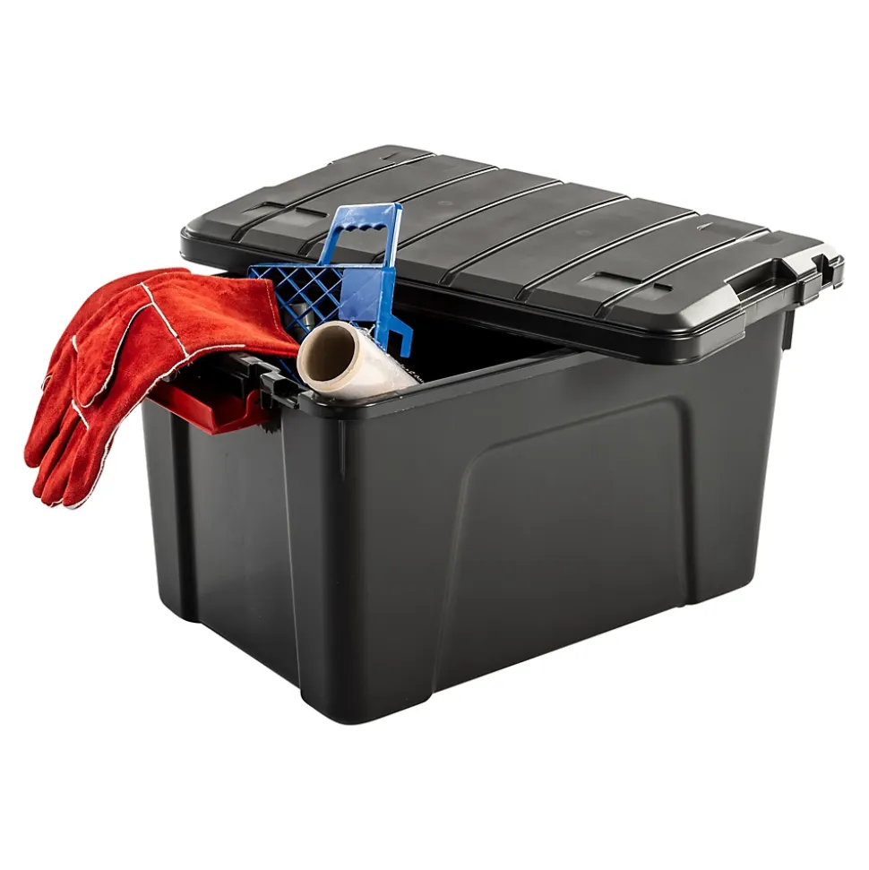 Iris Ohyama, Grande Boîte de rangement plastique, 60 L, SIA-60, Noir