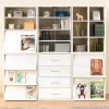 Iris Ohyama, Meuble, Bibliothèque, étagère de rangement avec 2 portes, CHR-2, Chêne Blanc, L40.9 x P59 x H83.6 cm