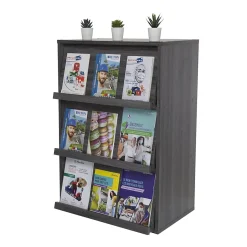 Iris Ohyama, Meuble, Bibliothèque, étagère de rangement avec 3 portes, CHR-3, Chêne Gris, L40.9 x P59 x H83.6 cm