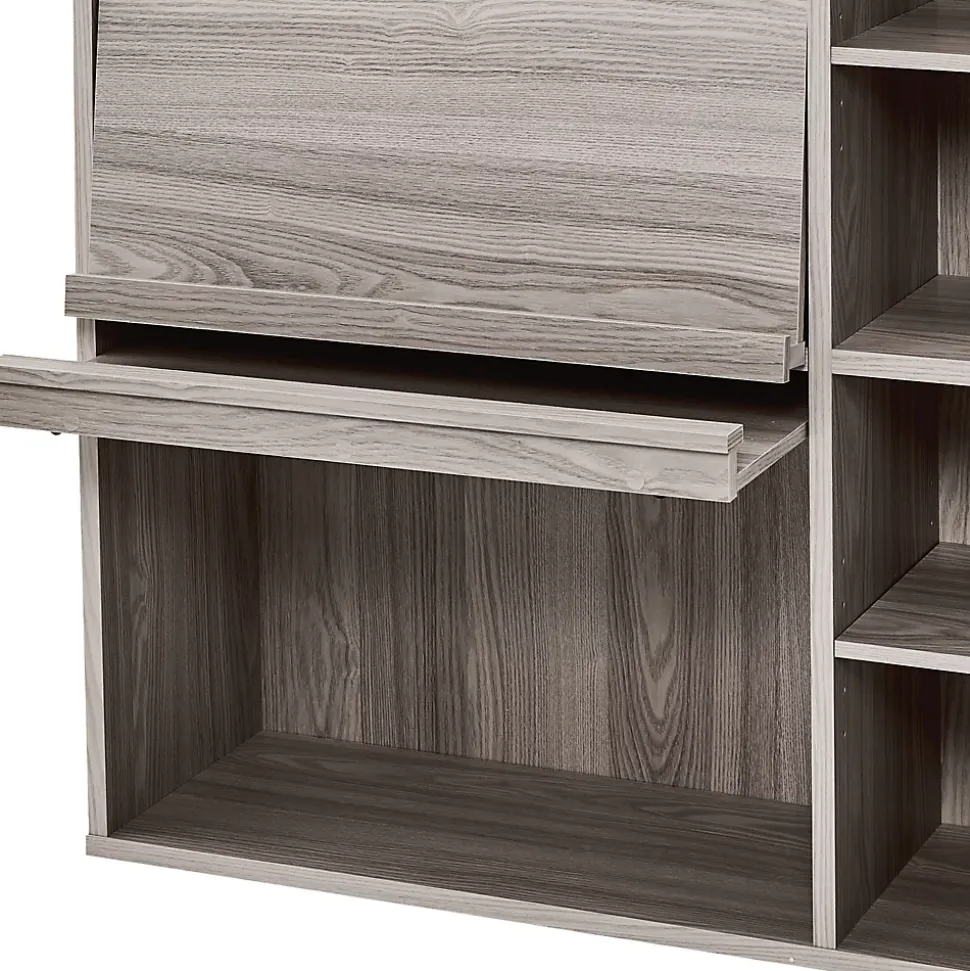 Iris Ohyama, Meuble, étagère, Bibliothèque de rangement, Avec 2 portes, FR-F2- Chêne Gris, L33.8 x P89 x H90 cm