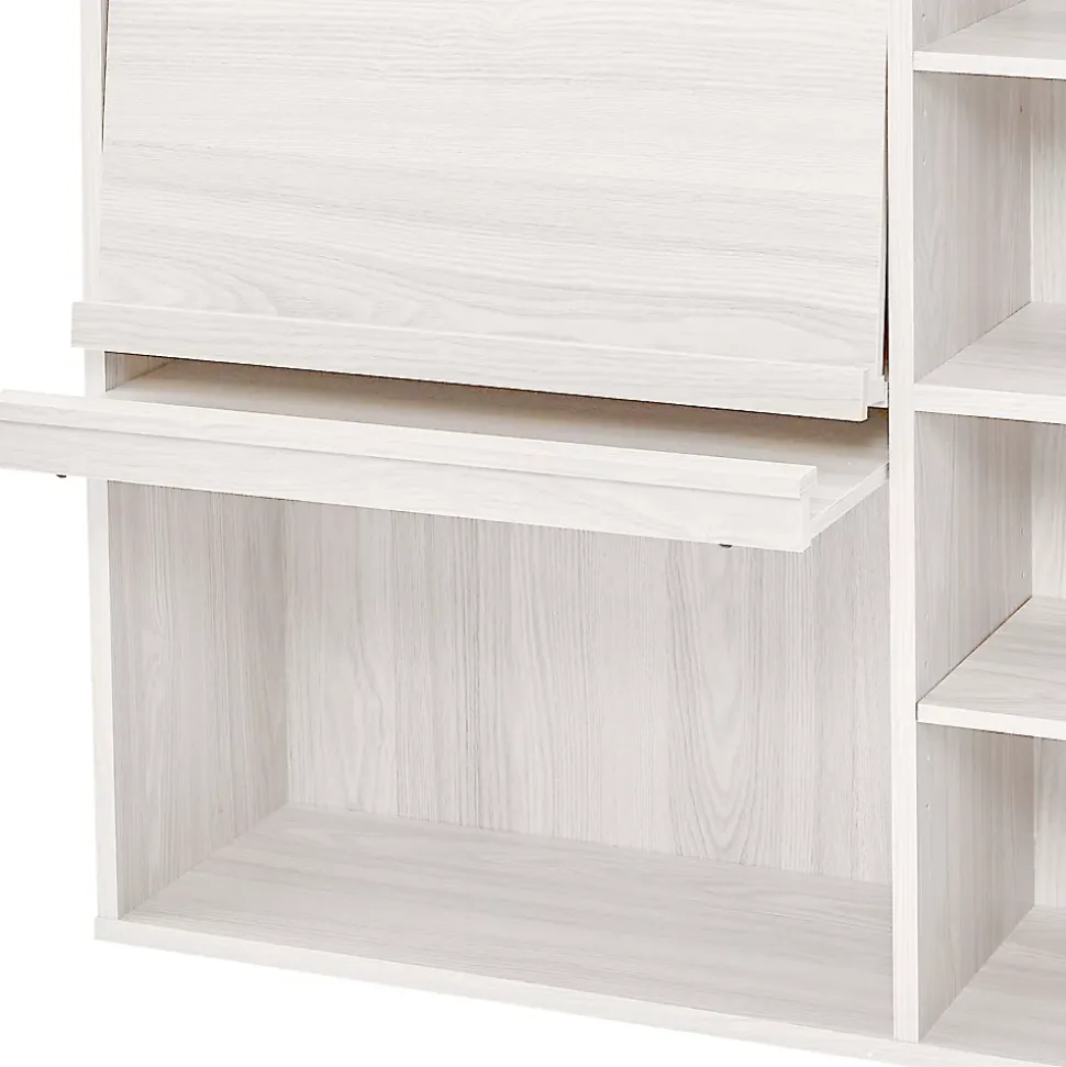 Iris Ohyama, Meuble, étagère, Bibliothèque de rangement, Avec 2 portes, FR-F2- Chêne Blanc, L33.8 x P89 x H90 cm